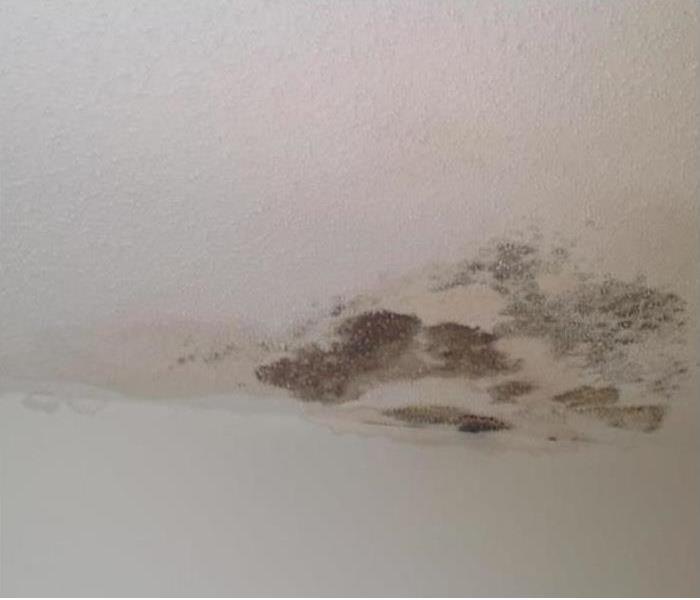 Mold spots on a bathroom ceiling