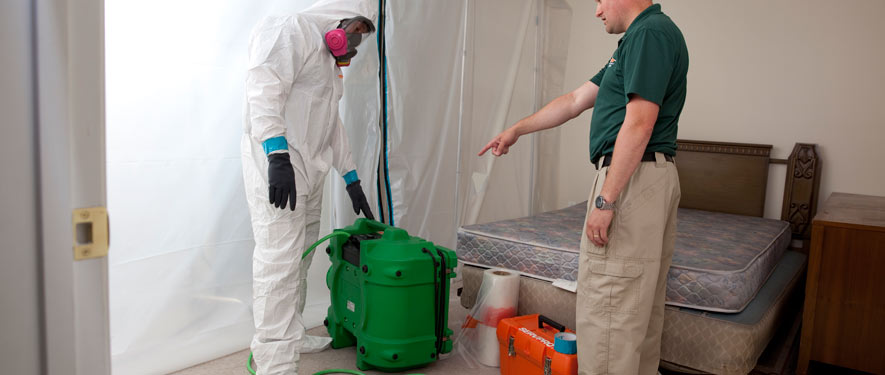 Lancaster, SC mold removal process